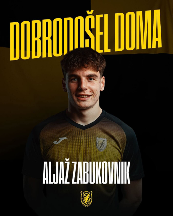 zabukovnik spet v radomljah