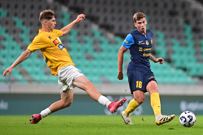 vidović po podaljšanju pogodbe posojen v bih